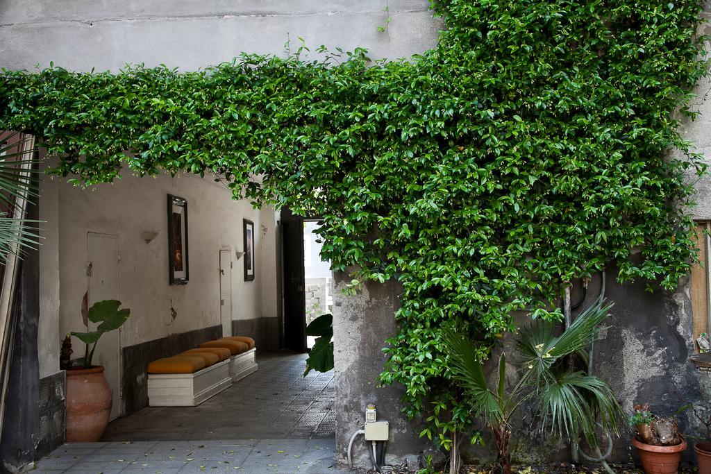 Apartment Alcala Living *